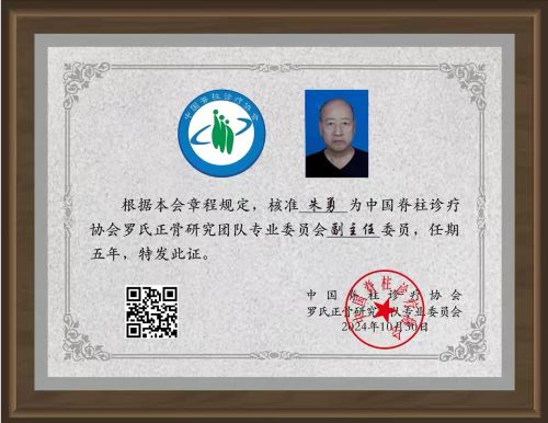 副主任委员——朱勇