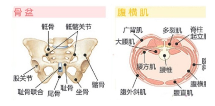 QQ截图20201217105716.png