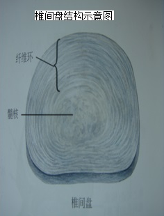 QQ截图20201217203822.png
